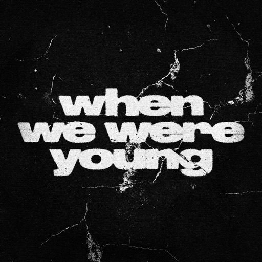 Architects - when we were young artwork