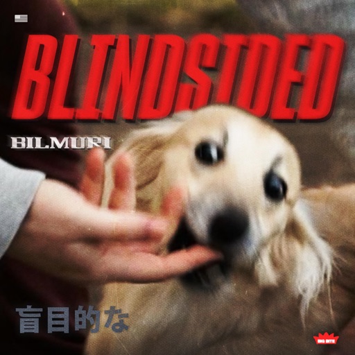 Bilmuri - Blindsided artwork