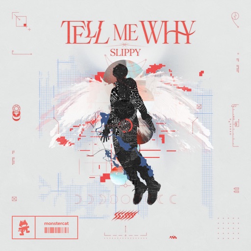 Slippy - Tell Me Why artwork